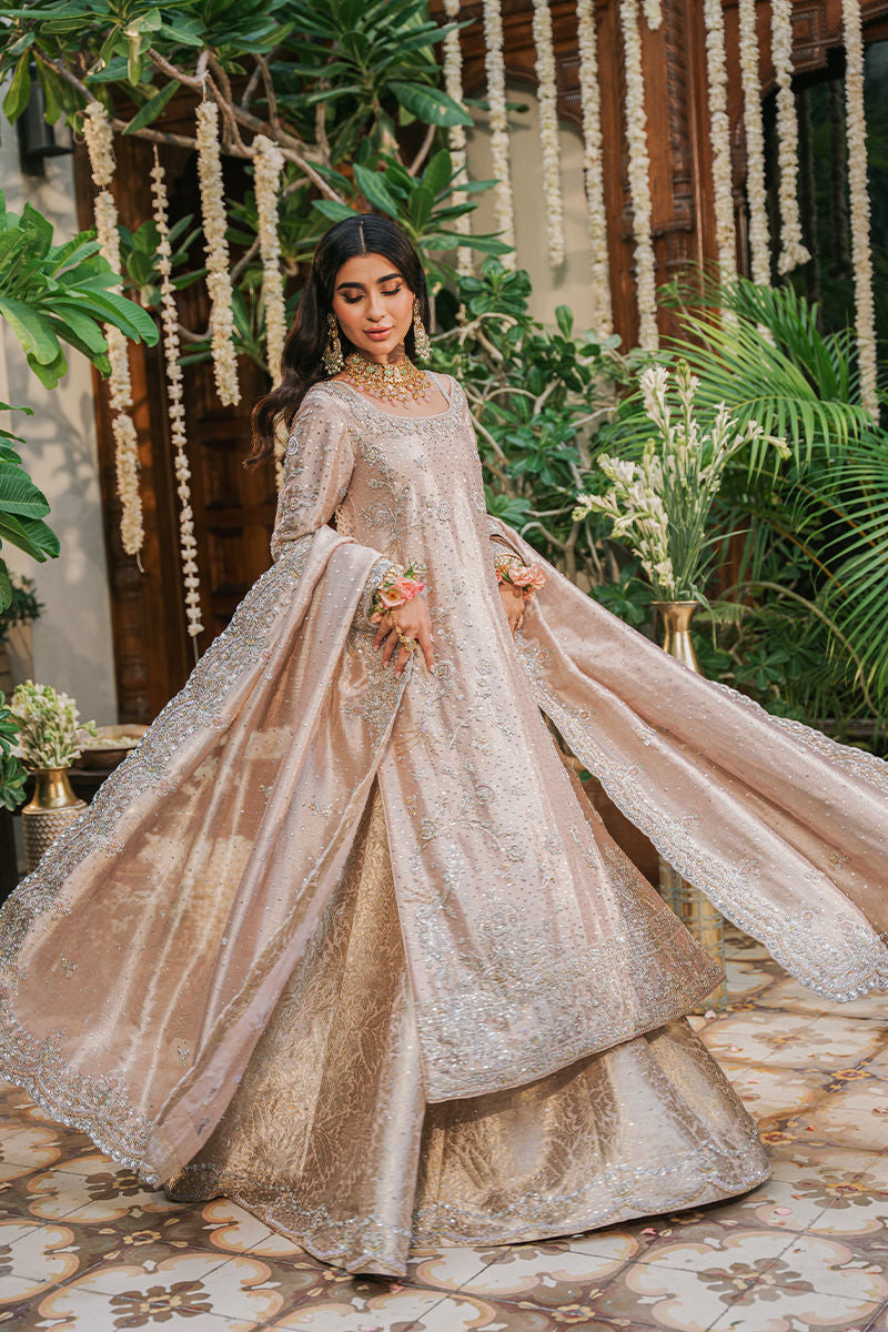 https://www.amnaarshad.pk/images/thumbs/0001599_nashmia.jpeg
