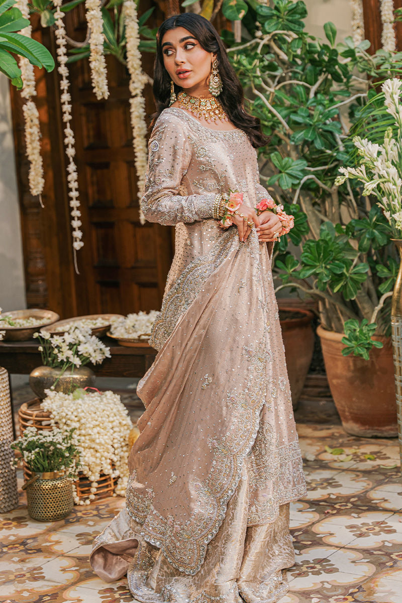 https://www.amnaarshad.pk/images/thumbs/0001606_nashmia.jpeg