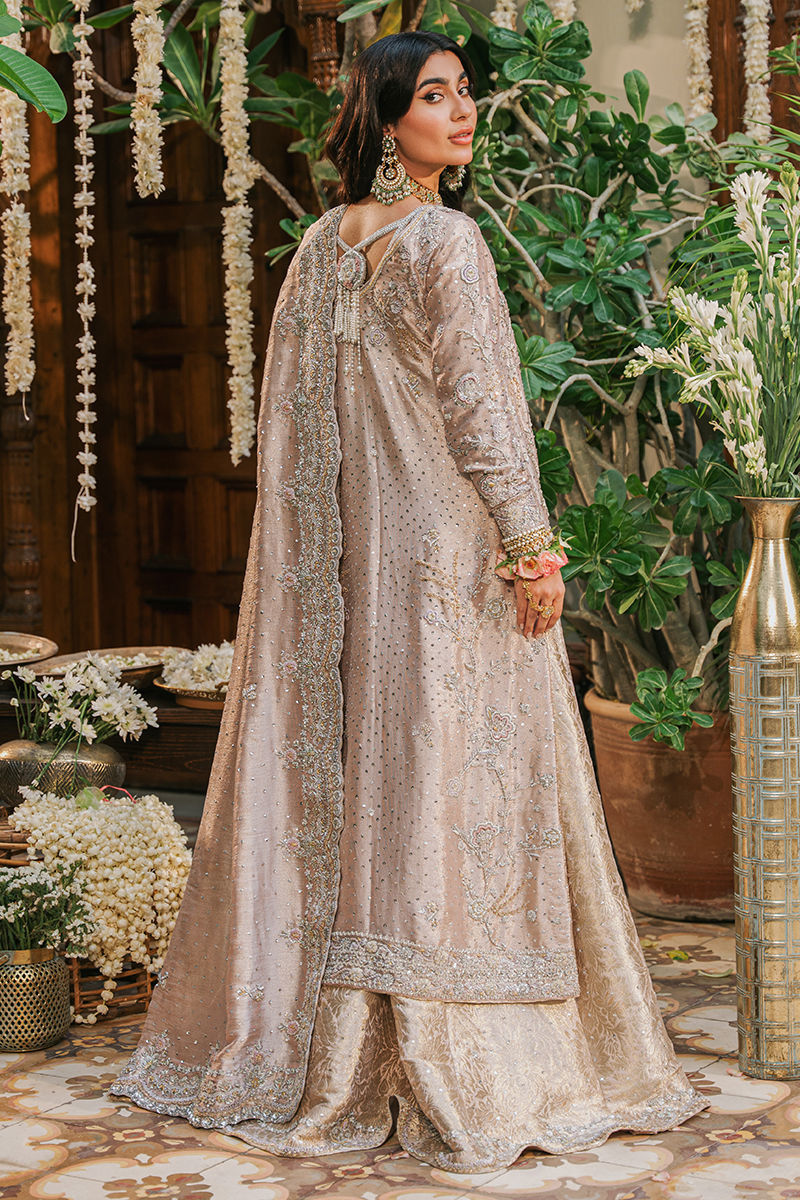 https://www.amnaarshad.pk/images/thumbs/0001612_nashmia.jpeg