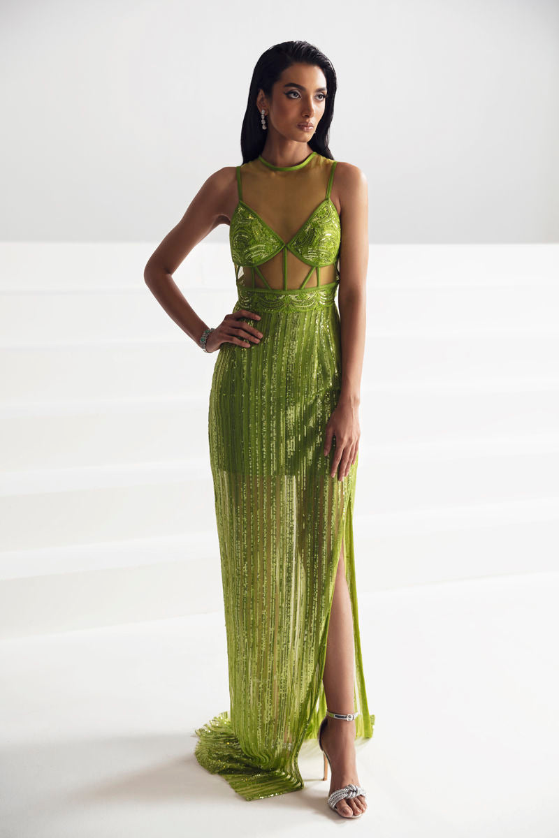https://cdn.shopify.com/s/files/1/0752/6187/0325/files/0001780_murraya.jpg?v=1750764093