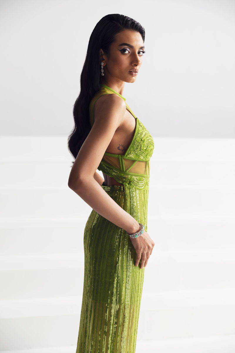 https://cdn.shopify.com/s/files/1/0752/6187/0325/files/0001782_murraya.jpg?v=1750764093