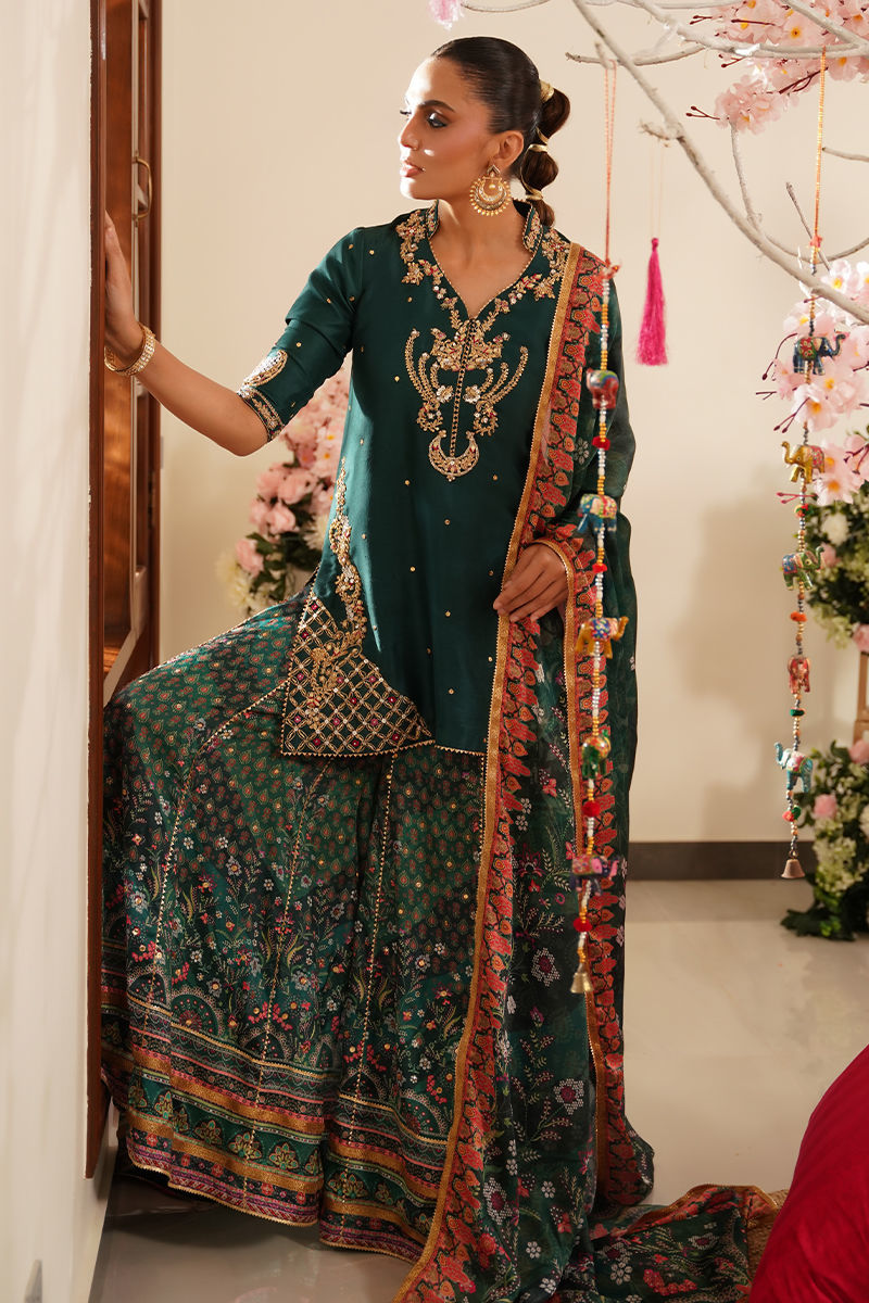 https://www.amnaarshad.pk/images/thumbs/0001809_joti.jpeg