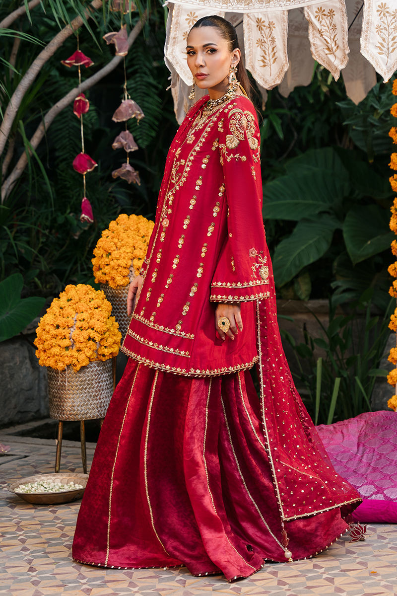 https://www.amnaarshad.pk/images/thumbs/0001891_aaisha.jpeg