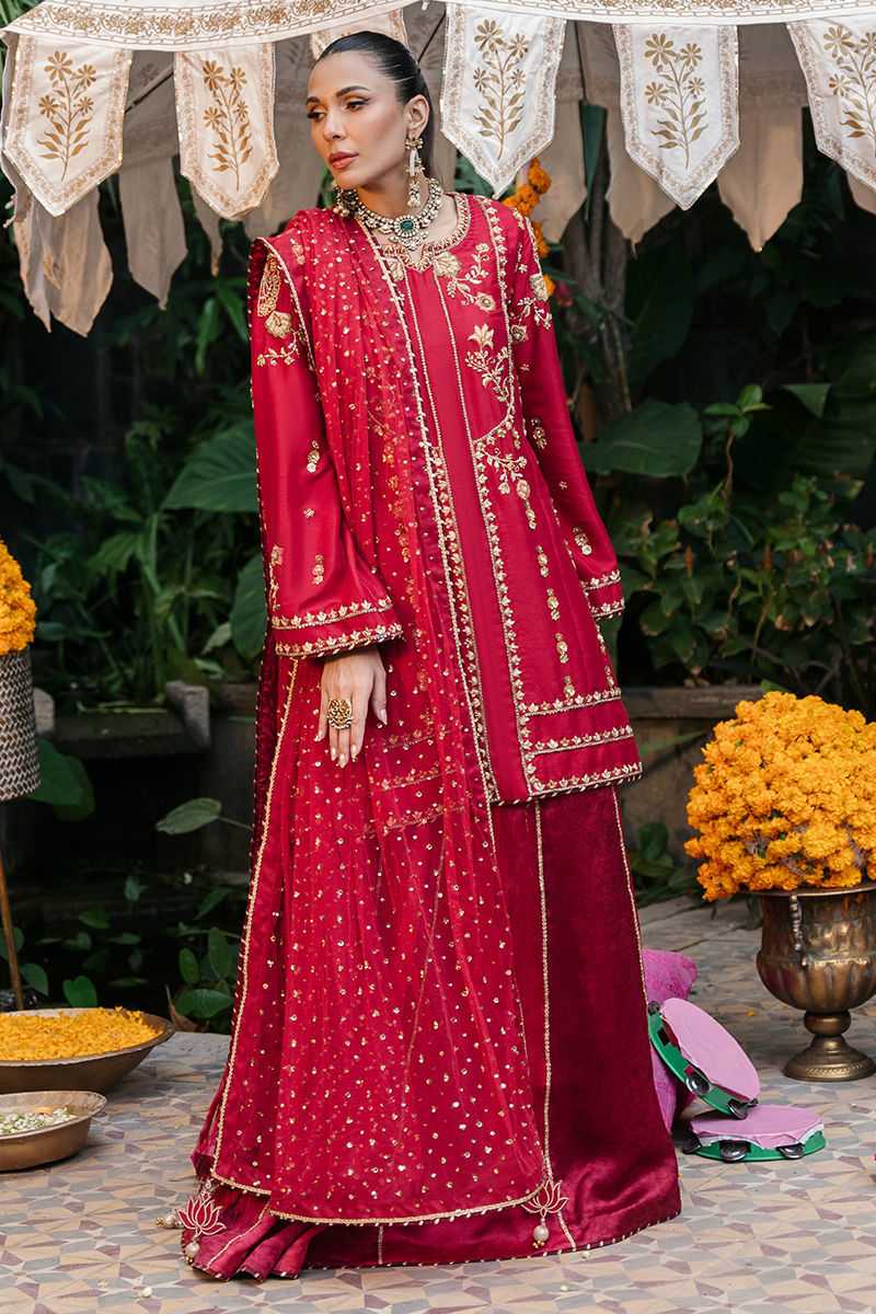 https://www.amnaarshad.pk/images/thumbs/0001893_aaisha.jpeg