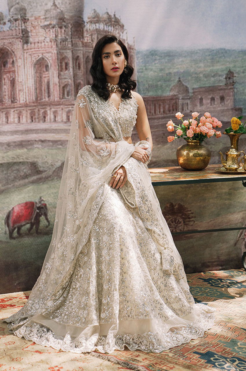Dusky Ivory - Chaddar