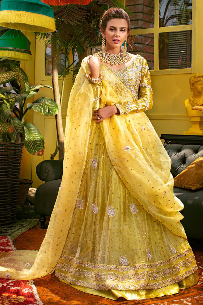 Sunflower Bloom with Timeless Appeal | Ansab Jahangir