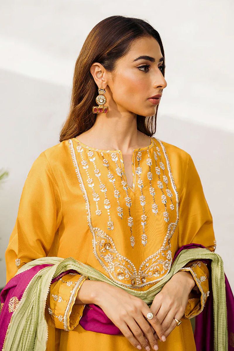 https://www.amnaarshad.pk/images/thumbs/0003595_areeisha.jpeg