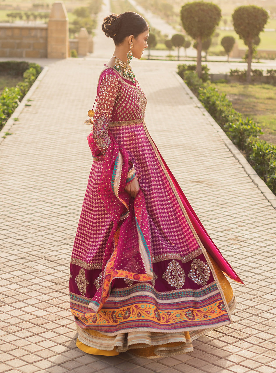 Kainaat