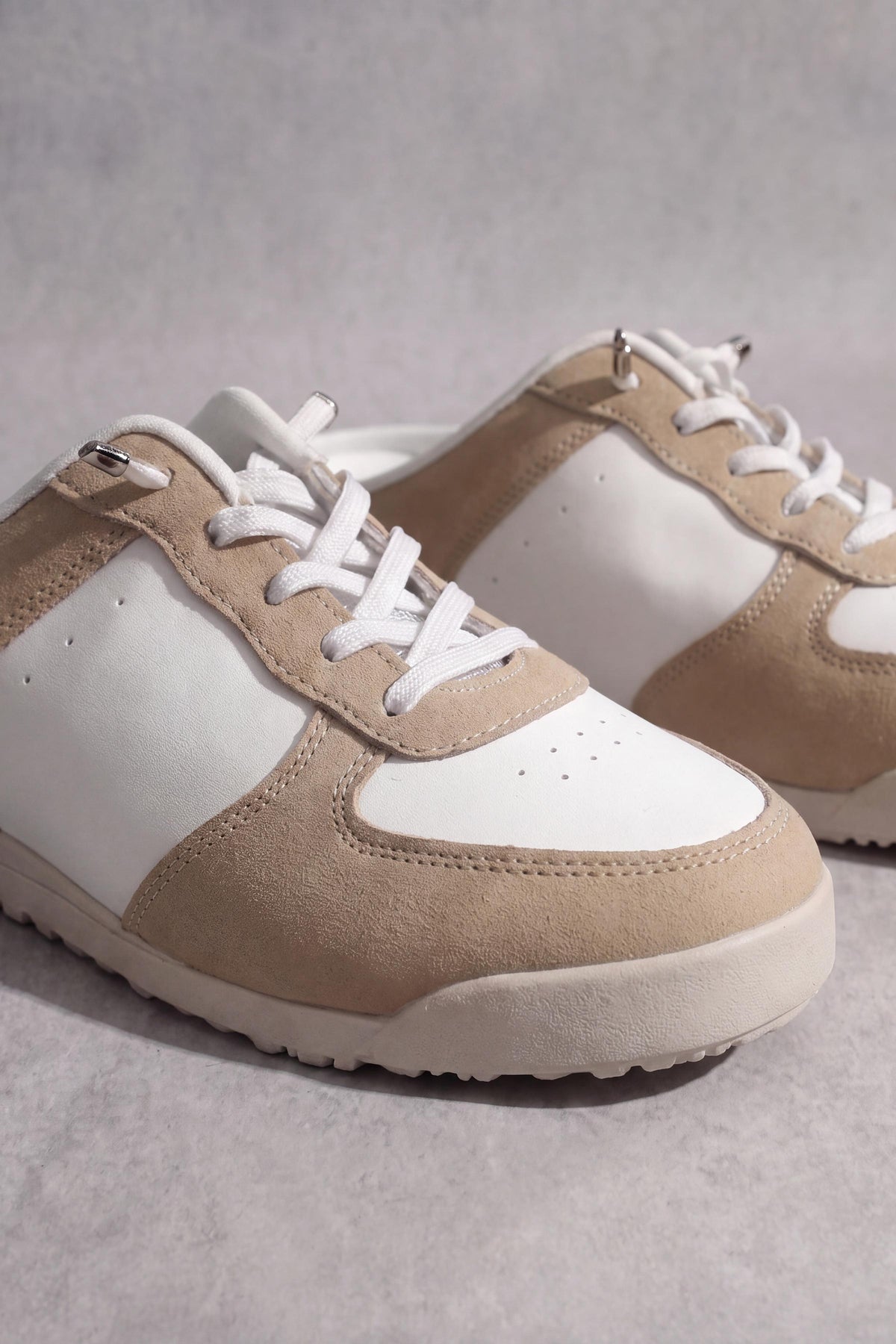 Camel Canvas-449452929