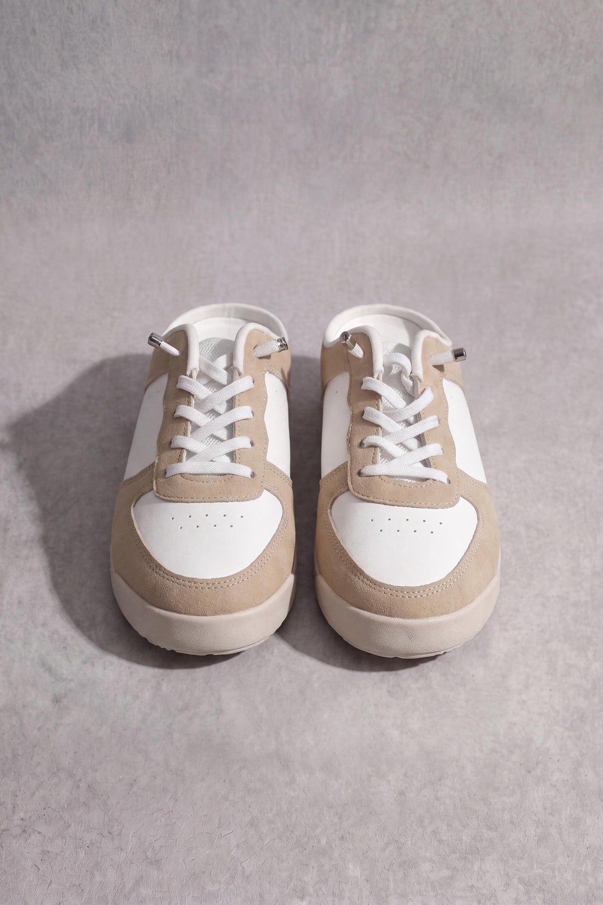 Camel Canvas-449452929
