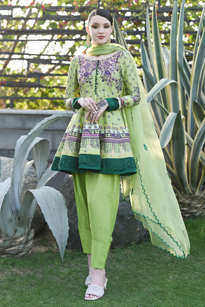Kiwi with Timeless Appeal | Ansab Jahangir
