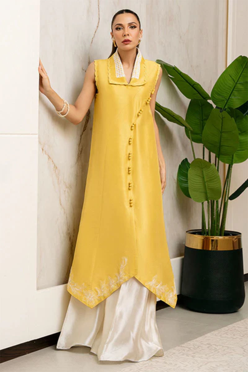 https://www.amnaarshad.pk/images/thumbs/0004692_lulu-shirt.jpeg