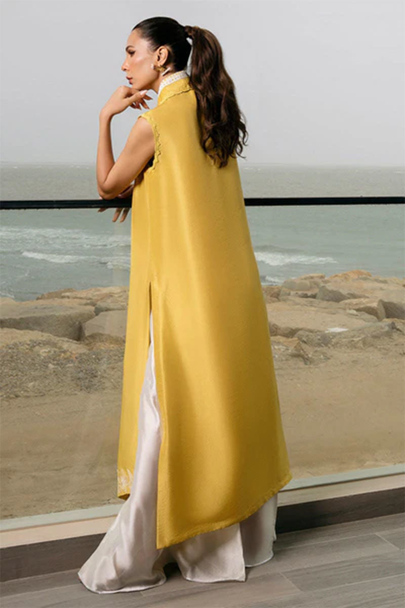 https://www.amnaarshad.pk/images/thumbs/0004698_lulu-shirt.jpeg