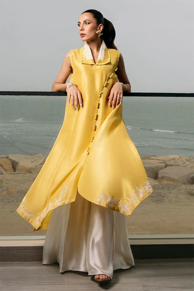 https://www.amnaarshad.pk/images/thumbs/0004701_lulu-shirt.jpeg