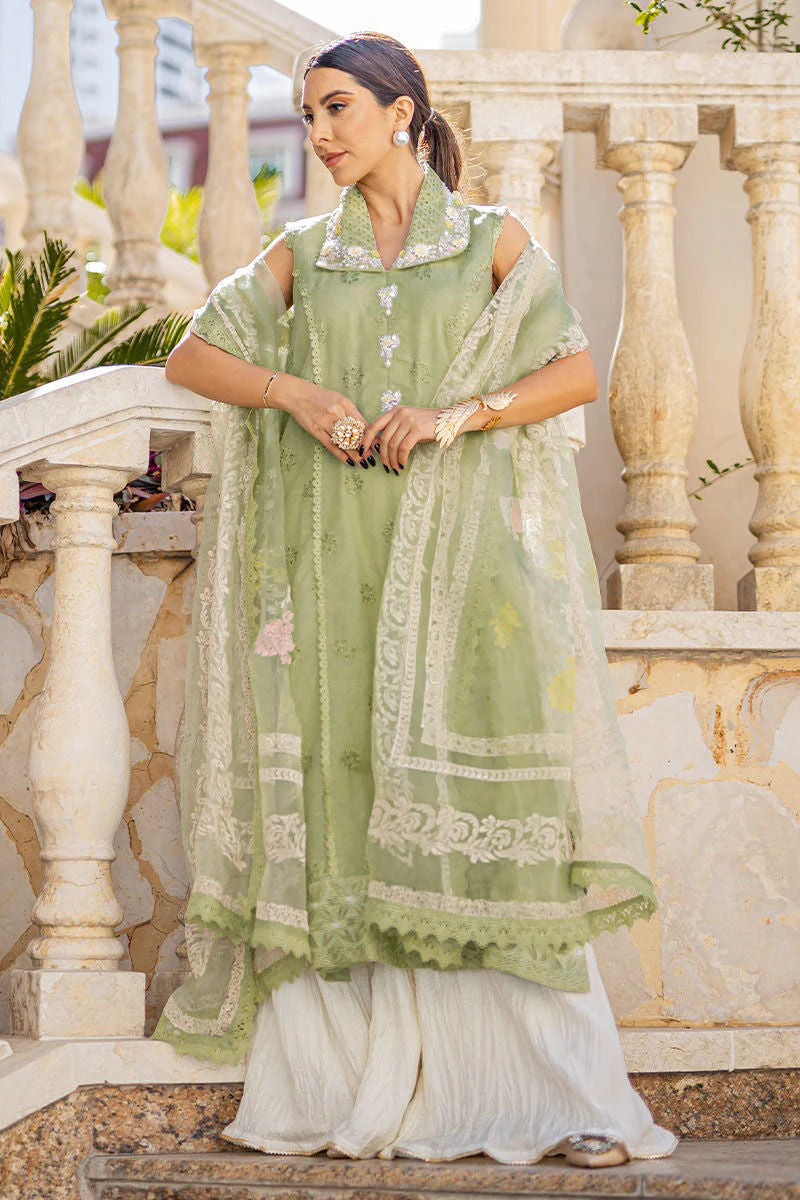 https://www.amnaarshad.pk/images/thumbs/0004730_tulay.jpeg