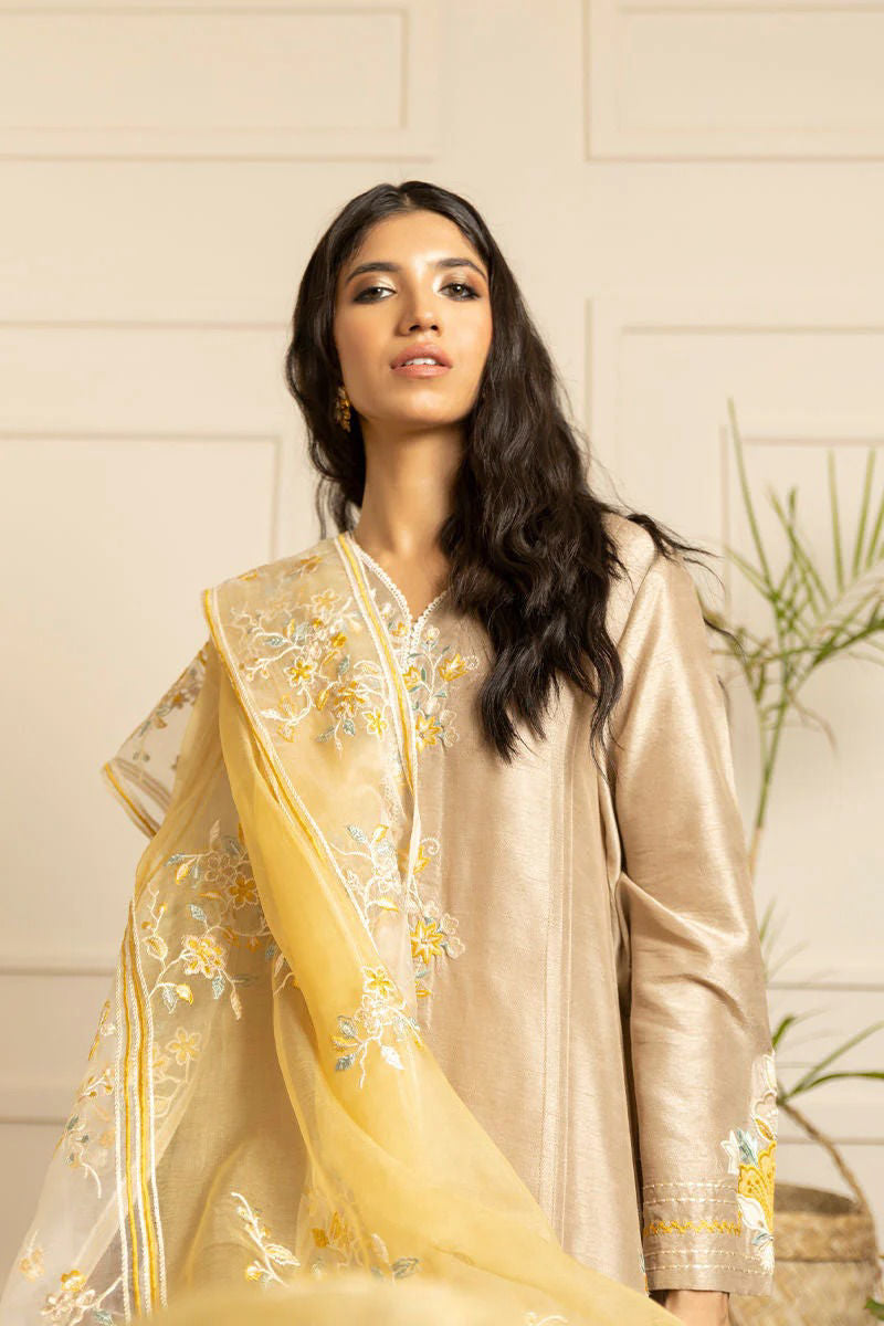 https://www.amnaarshad.pk/images/thumbs/0004797_tuscany-shirt-and-pants.jpeg