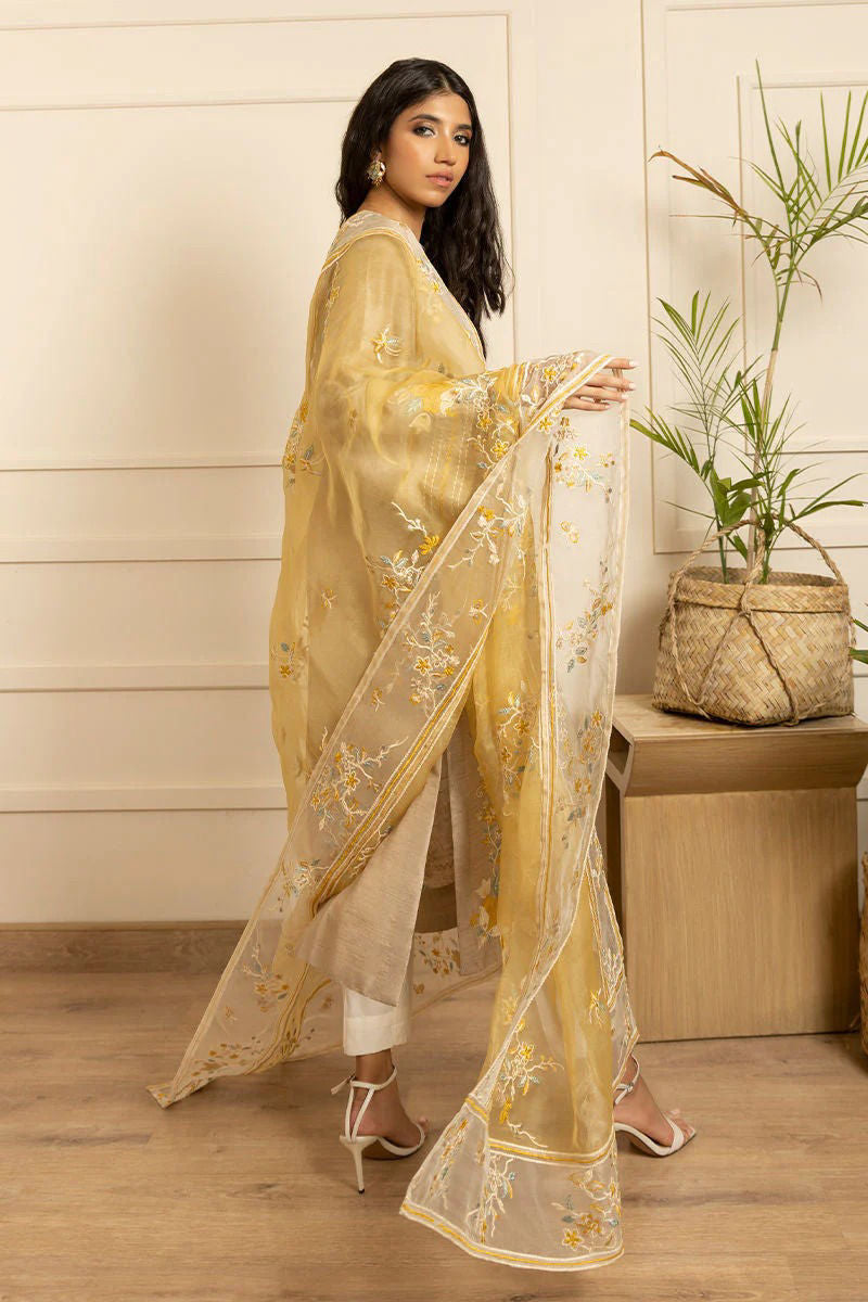 https://www.amnaarshad.pk/images/thumbs/0004803_tuscany-shirt-and-pants.jpeg