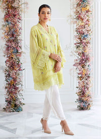 https://www.farahtalibaziz.com.pk/images/thumbs/0005142_lace-overlap-crepe-silk-shalwar.jpeg