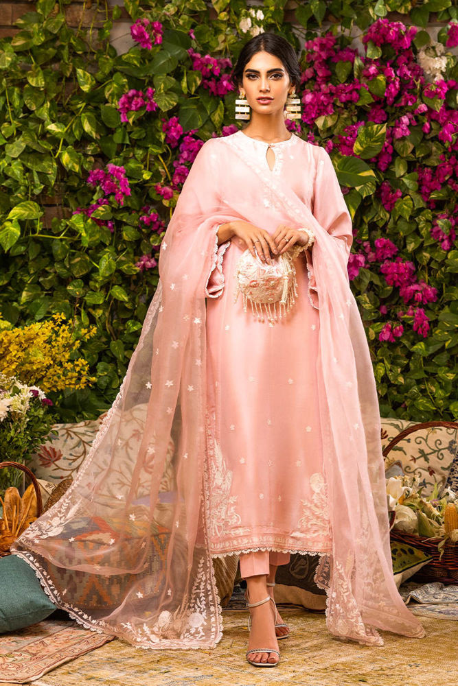 Pink Nectar with Timeless Appeal | Ansab Jahangir