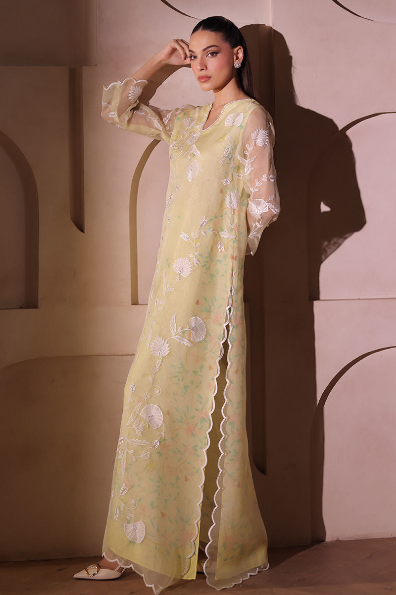 Daffodil