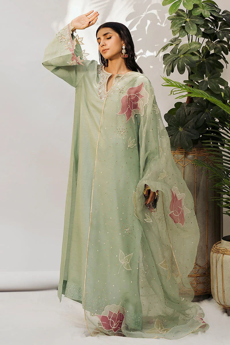 https://www.amnaarshad.pk/images/thumbs/0005353_aleena.jpeg