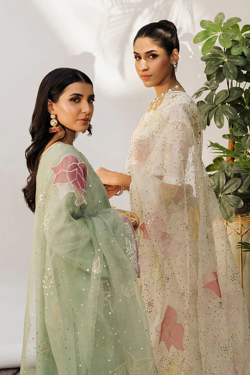 https://www.amnaarshad.pk/images/thumbs/0005358_aleena.jpeg