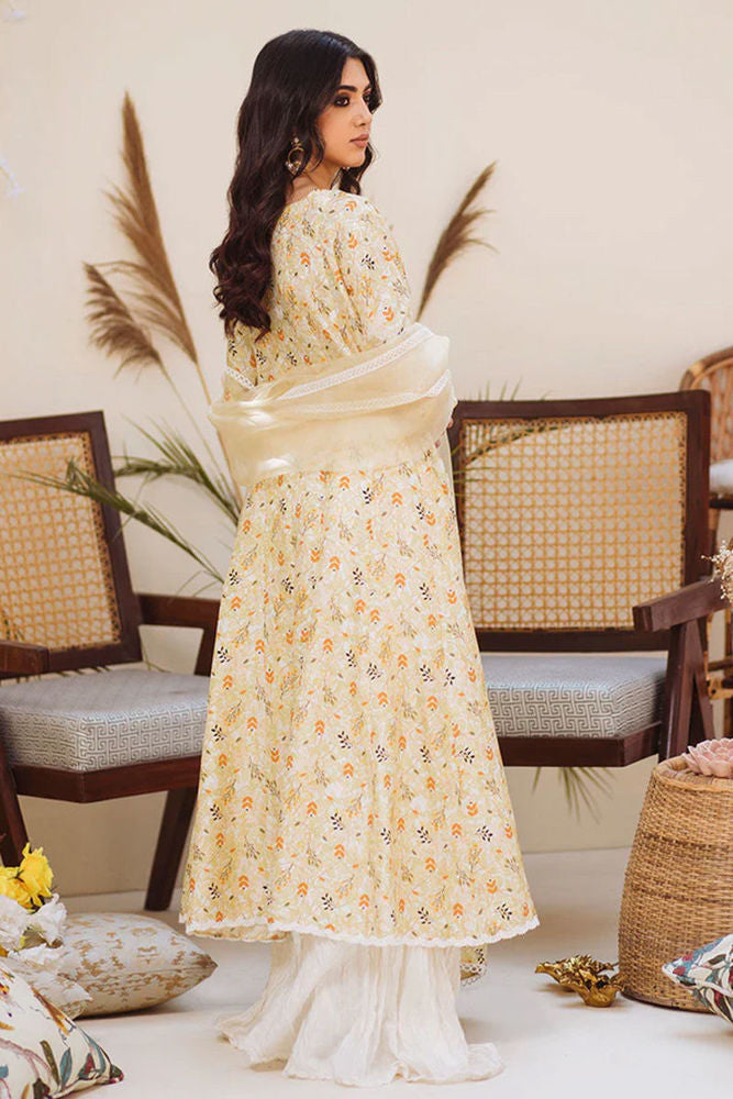 Amna Arshad
