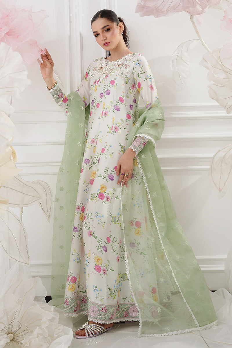 Amna Arshad