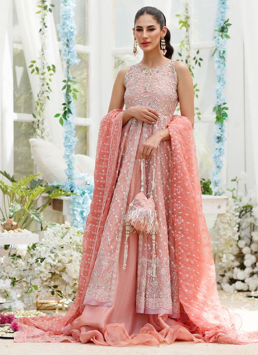 Camelia Silver To Blush Ombre Saree
