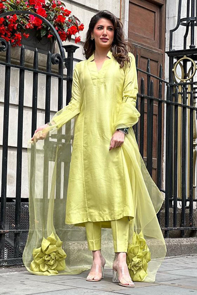 Ray with Fine Embroidery | Ansab Jahangir
