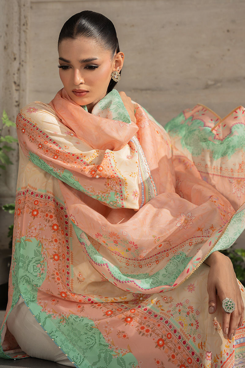 Amna Arshad