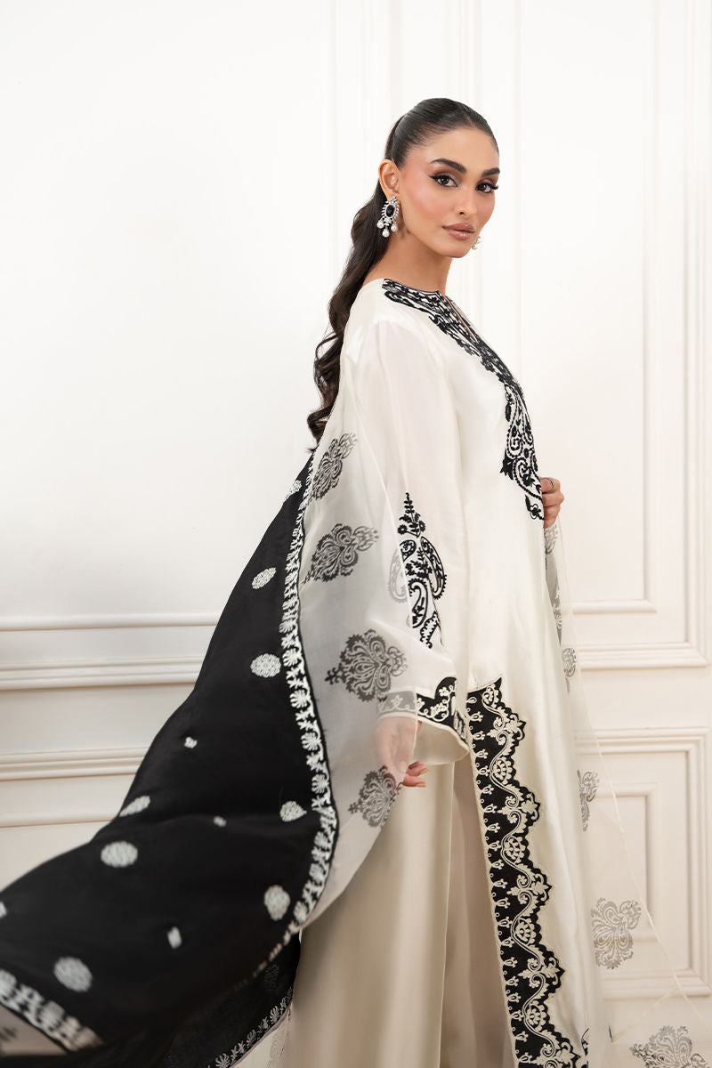 https://www.amnaarshad.pk/images/thumbs/0006618_zeenia-shirt-and-pants.jpeg