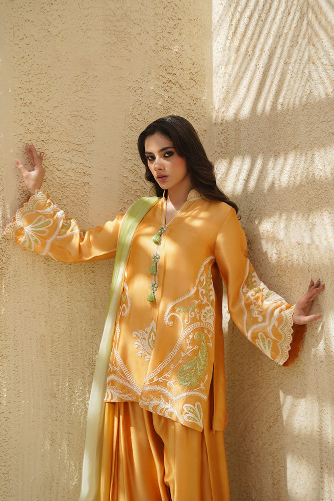 Raiya ( Shirt and Dupatta)