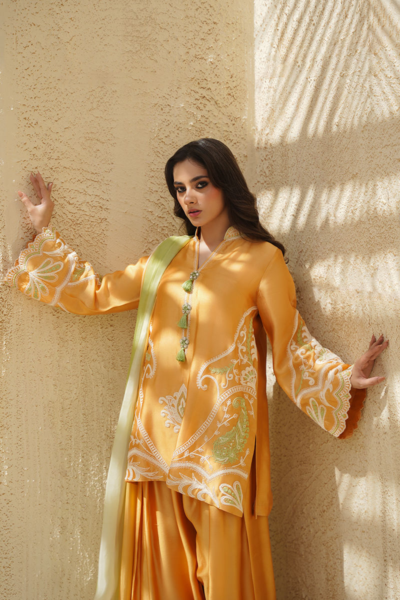 https://www.amnaarshad.pk/images/thumbs/0006690_raiya-shirt-and-dupatta.jpeg