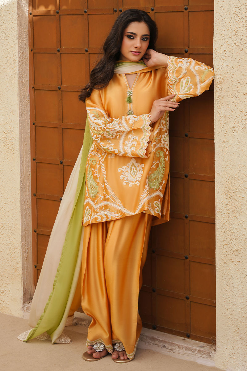Amna Arshad