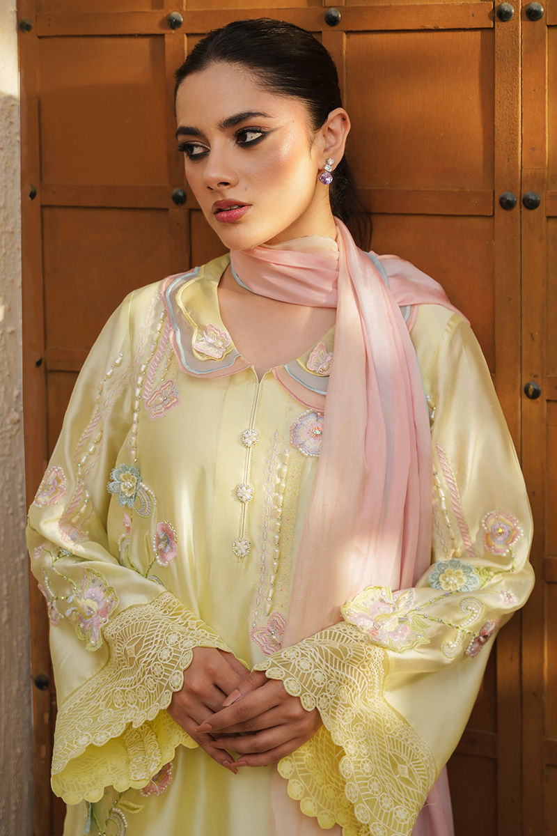 https://www.amnaarshad.pk/images/thumbs/0006735_saya-shirt-and-dupatta.jpeg