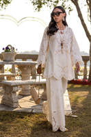 Sunlit Lace Set