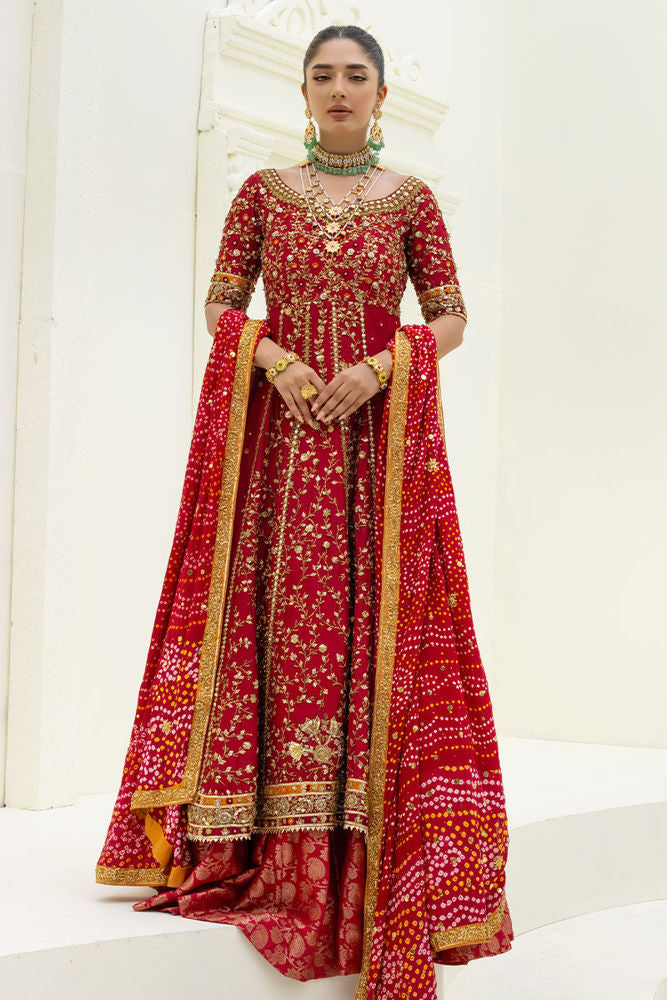 DC-2053 RUST 2PCS  EMBROIDERED KURTA WITH TROUSER