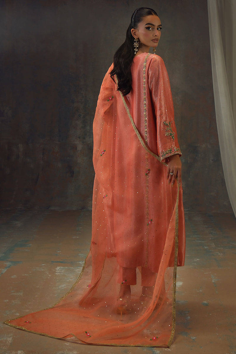 Peach Zari Long Full Set