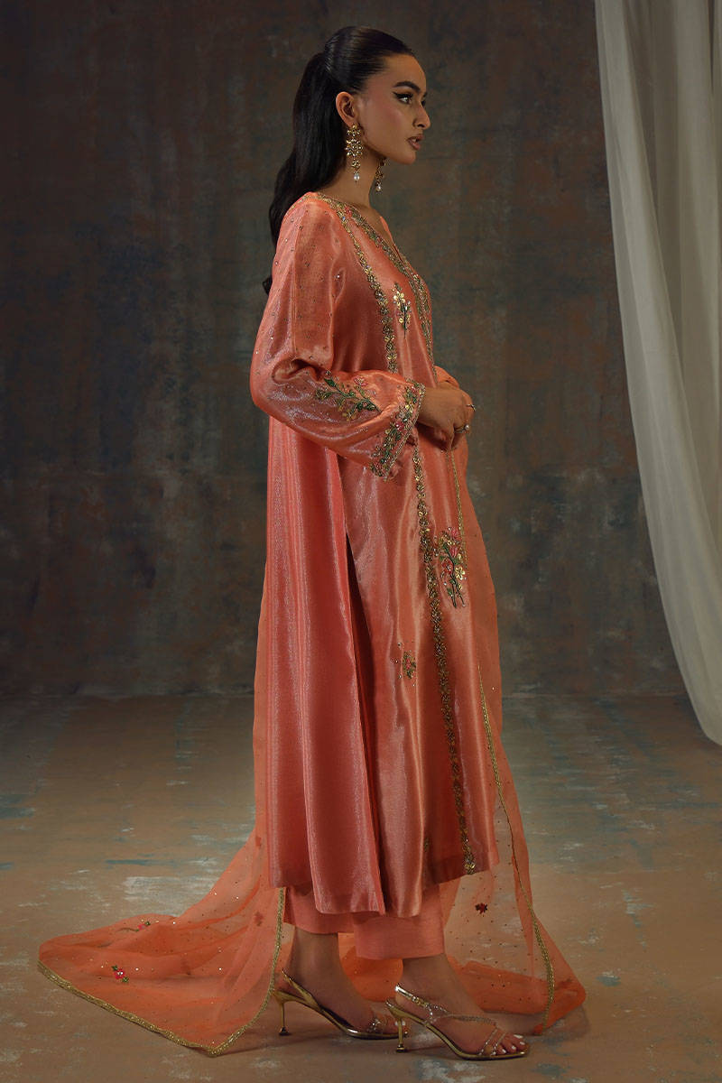 Peach Zari Long Full Set