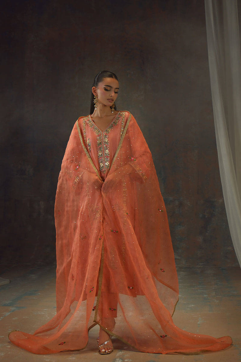 Peach Zari Long Full Set