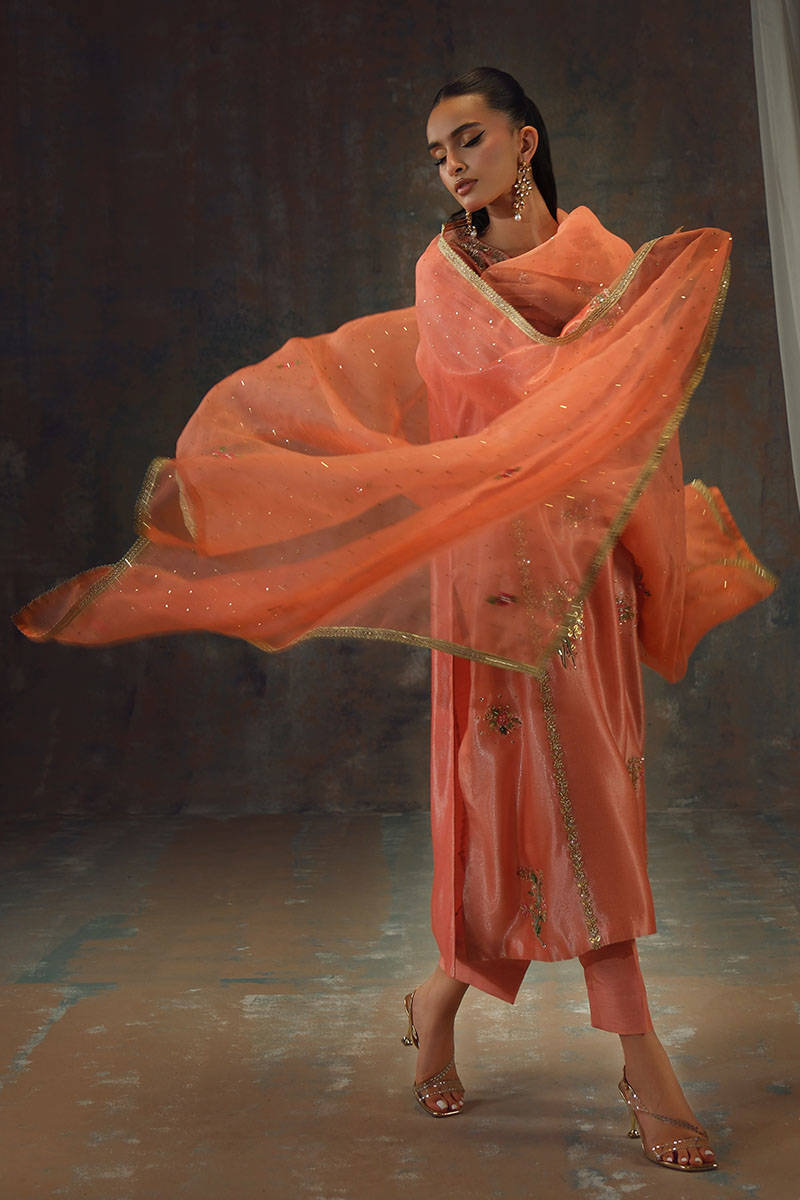 Peach Zari Long Full Set