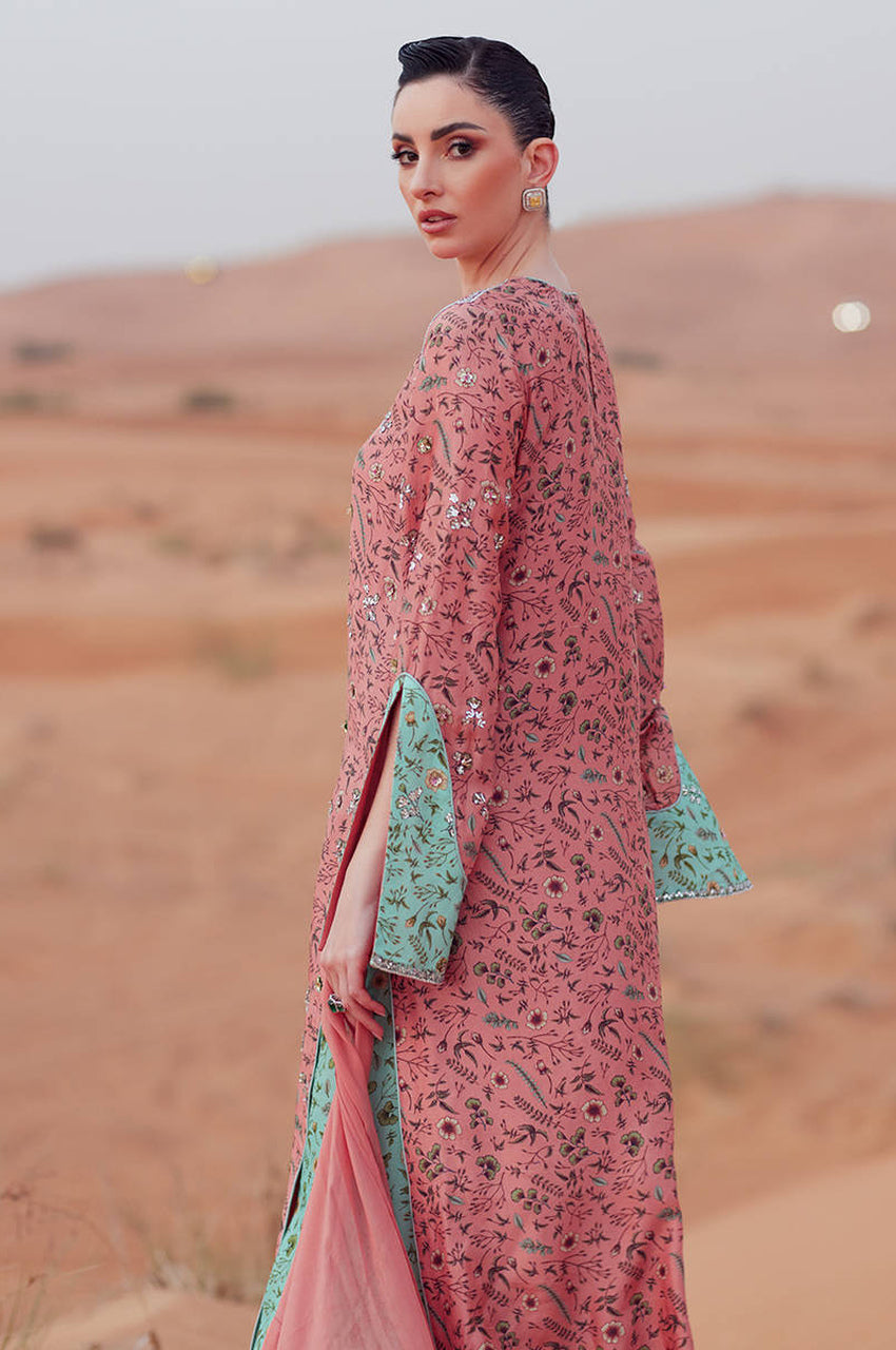Dewy Blush - Exhibition