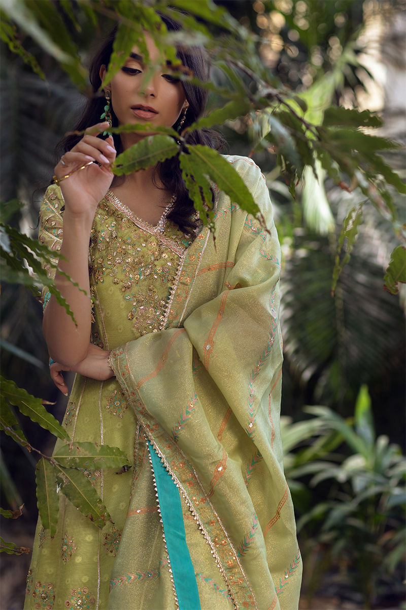 Ansab Jahangir