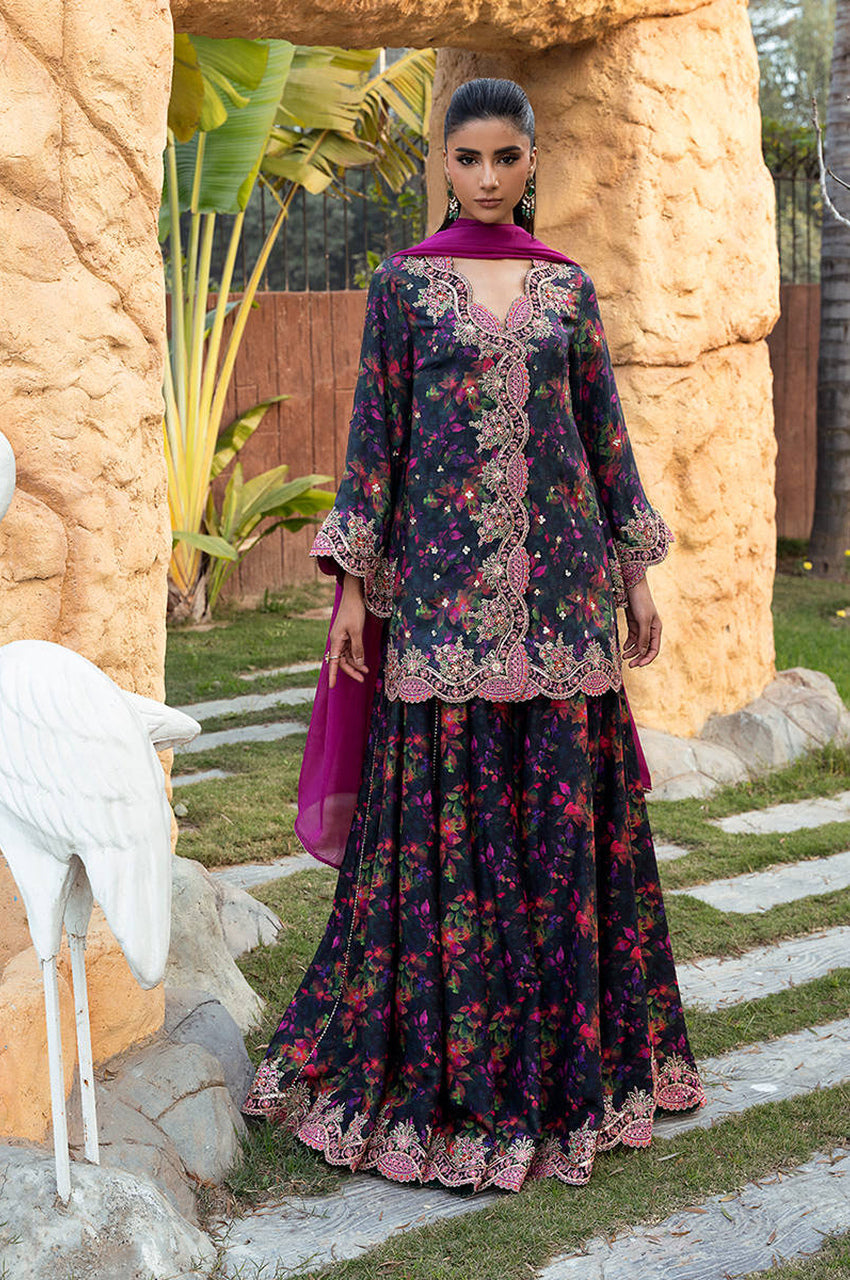 Noir Beauty - Dupatta