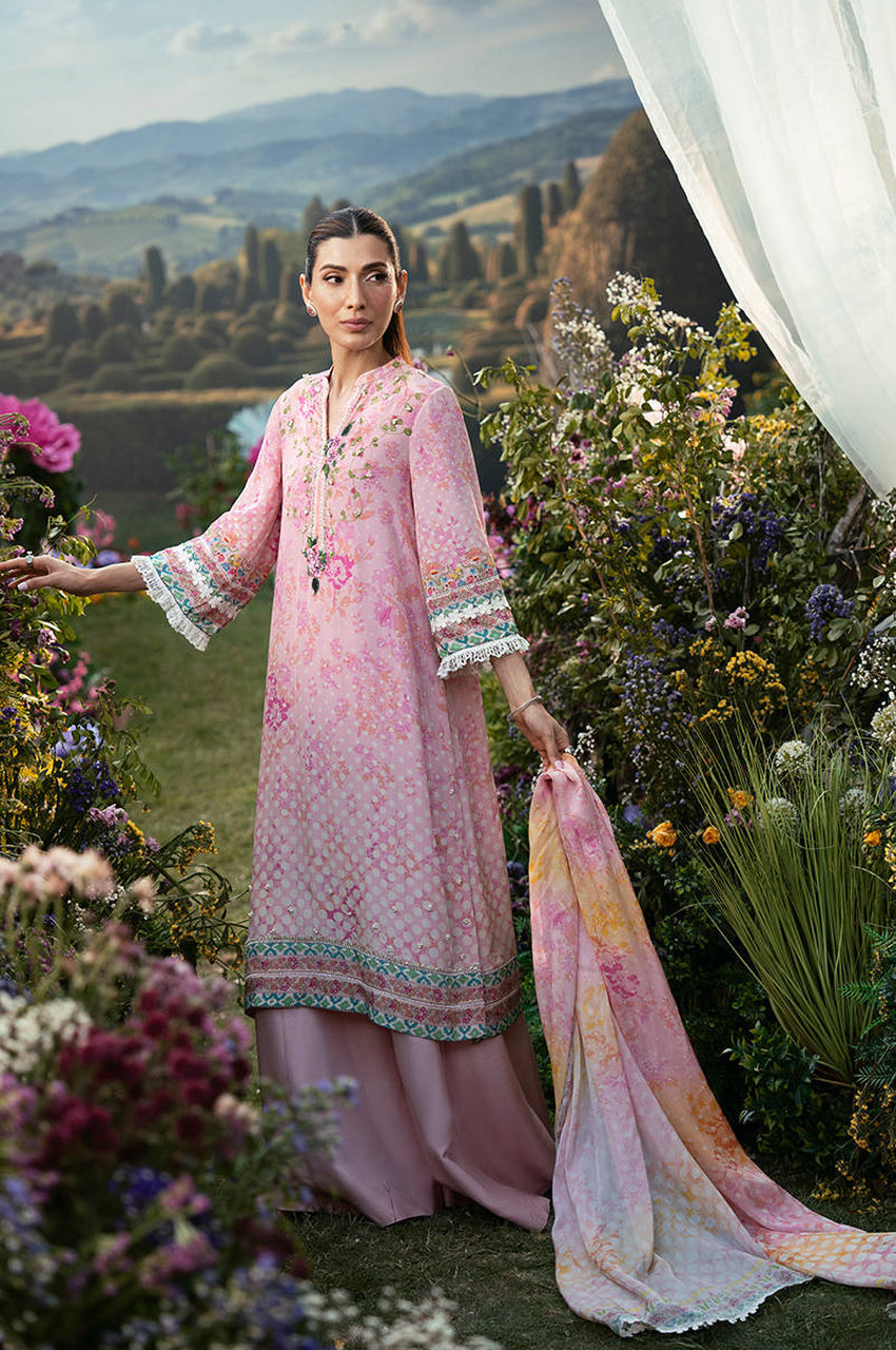 Polka meadows - Exhibition