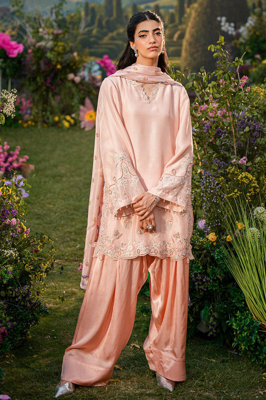 Peony Blush - Exhibition