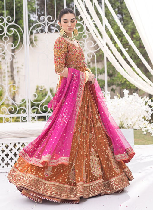 Shirin Ombre Lehenga Choli