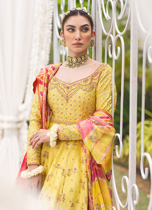 Faryal Printed Pink Kalidaar