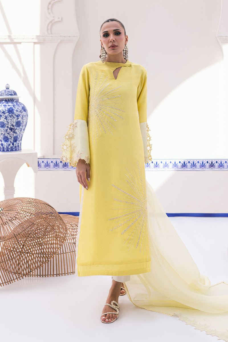 Solana Shirt and Dupatta